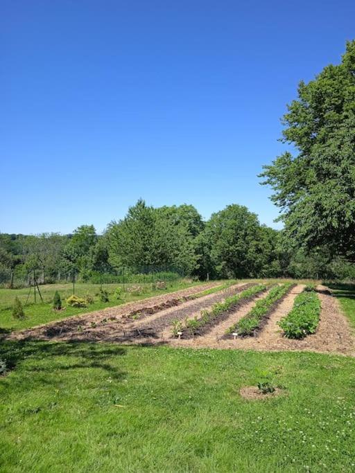 Les Jardins Des 3 Provinces- Gite Montcharvot Eksteriør billede