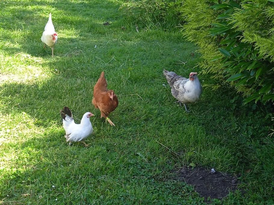 Les Jardins Des 3 Provinces- Gite Montcharvot Eksteriør billede