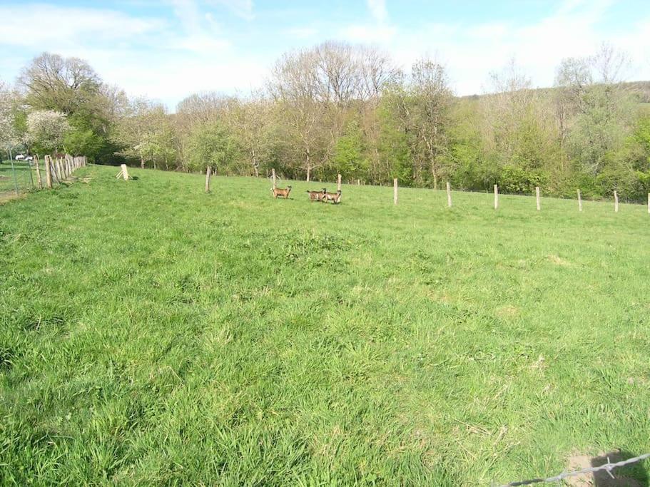 Les Jardins Des 3 Provinces- Gite Montcharvot Eksteriør billede