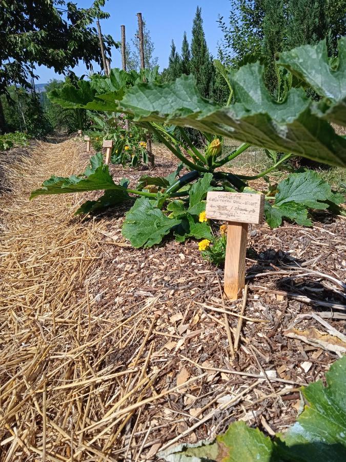 Les Jardins Des 3 Provinces- Gite Montcharvot Eksteriør billede