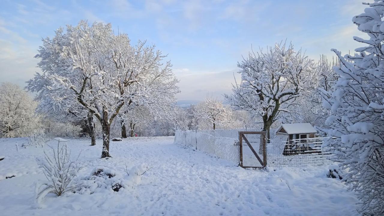 Les Jardins Des 3 Provinces- Gite Montcharvot Eksteriør billede